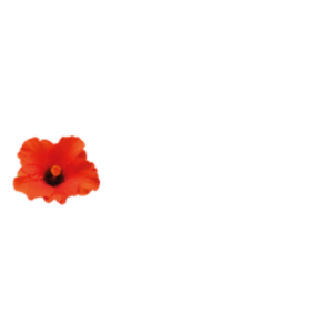 lomilagune